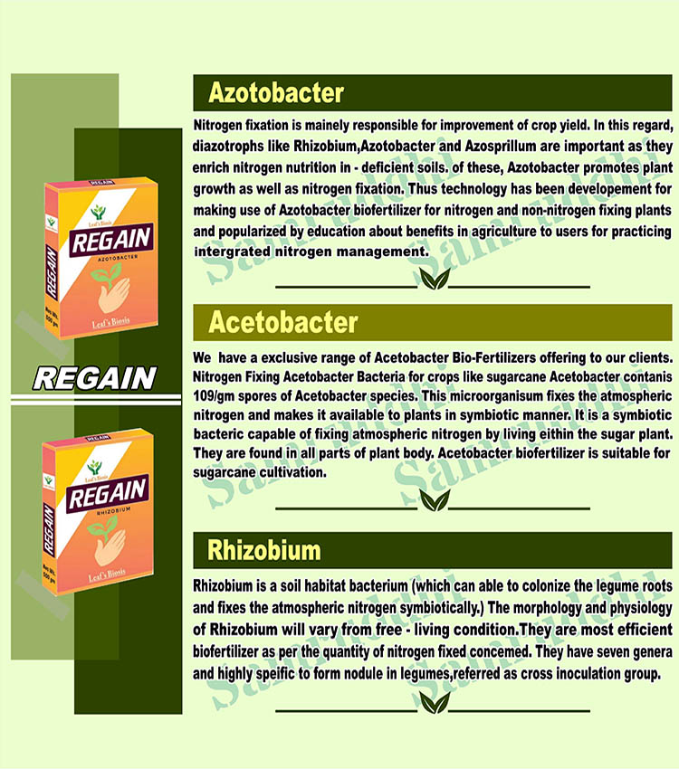 Regain biofertilizer guide