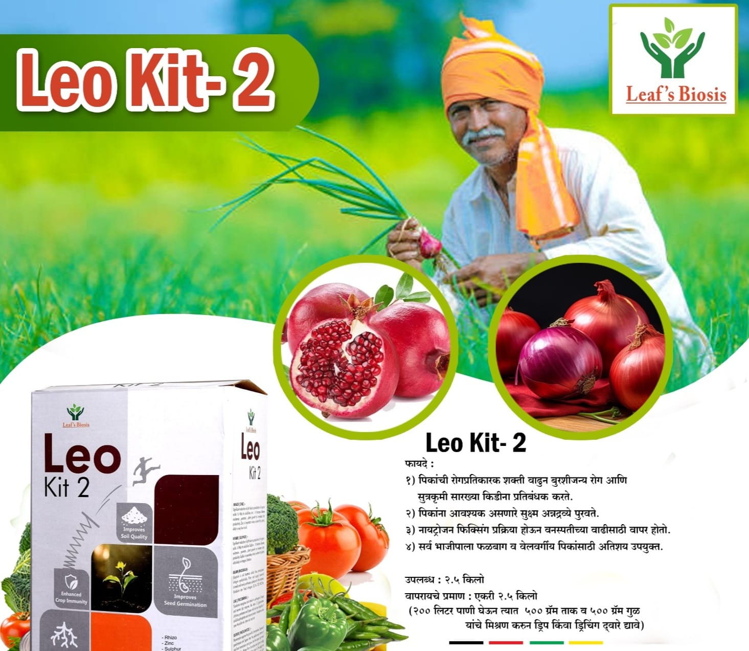 Leo Kit-2