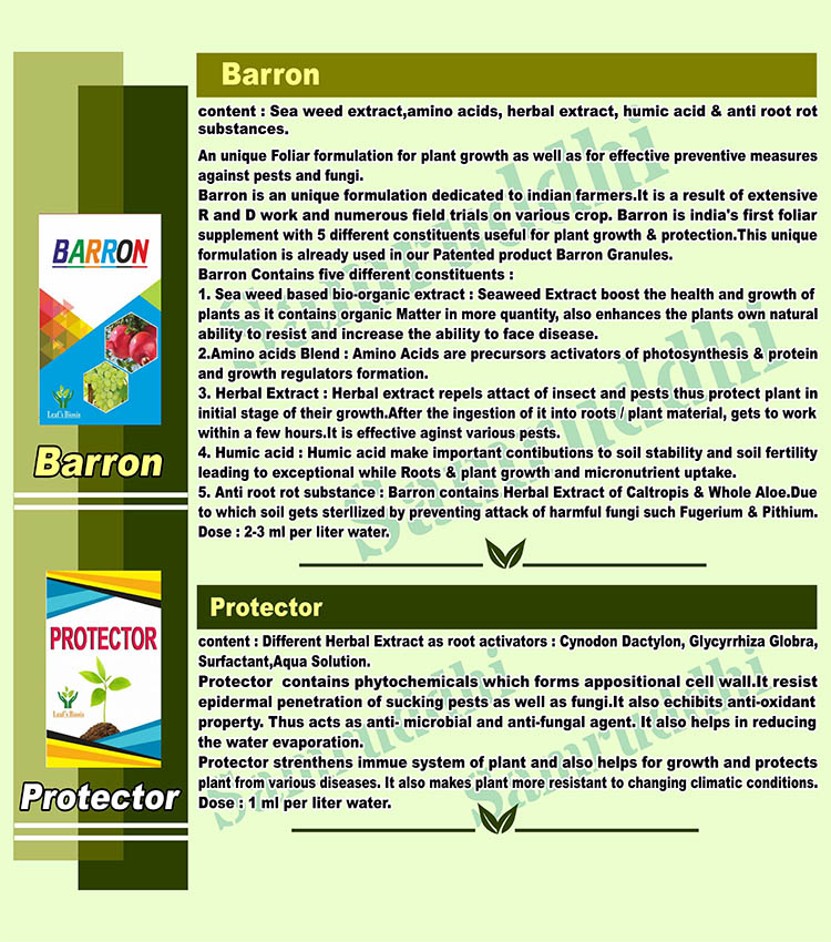 Barron & Protector guide