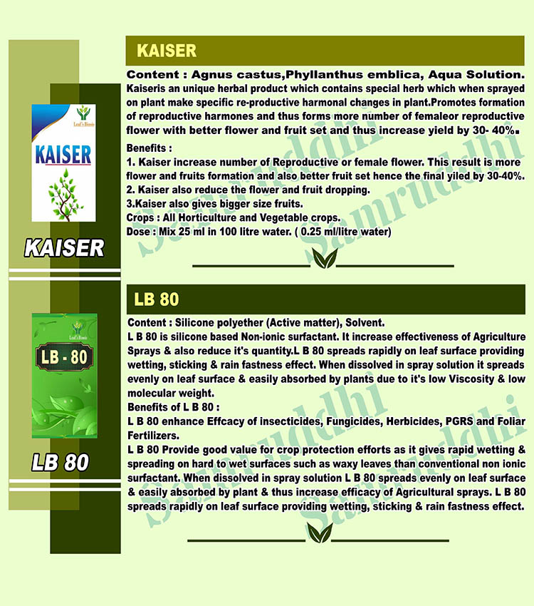 Kaiser & LB-80 guide