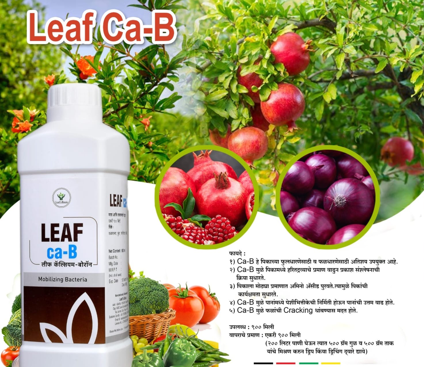 SEAFB crop support product