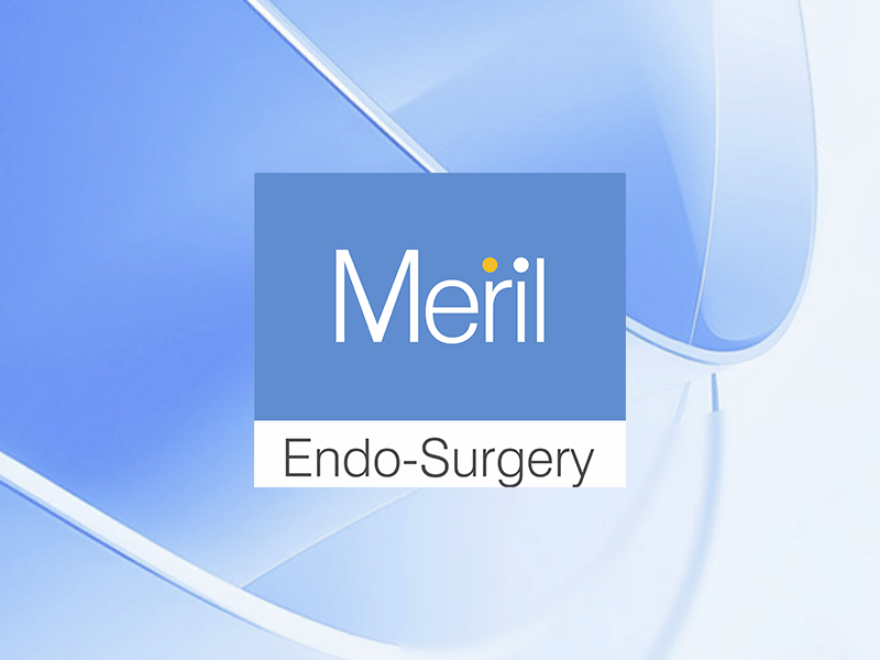 Meril Endosurgery Pvt. Ltd. logo